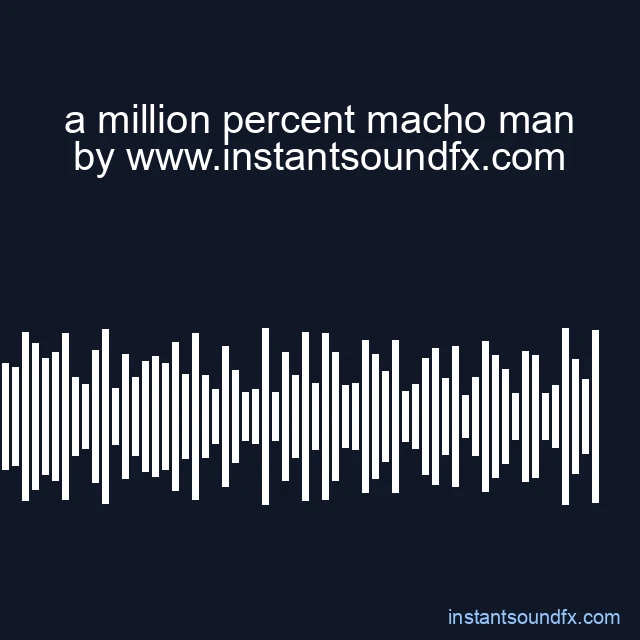 a million percent macho man image
