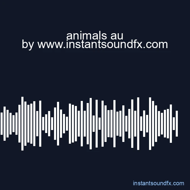 animals au image