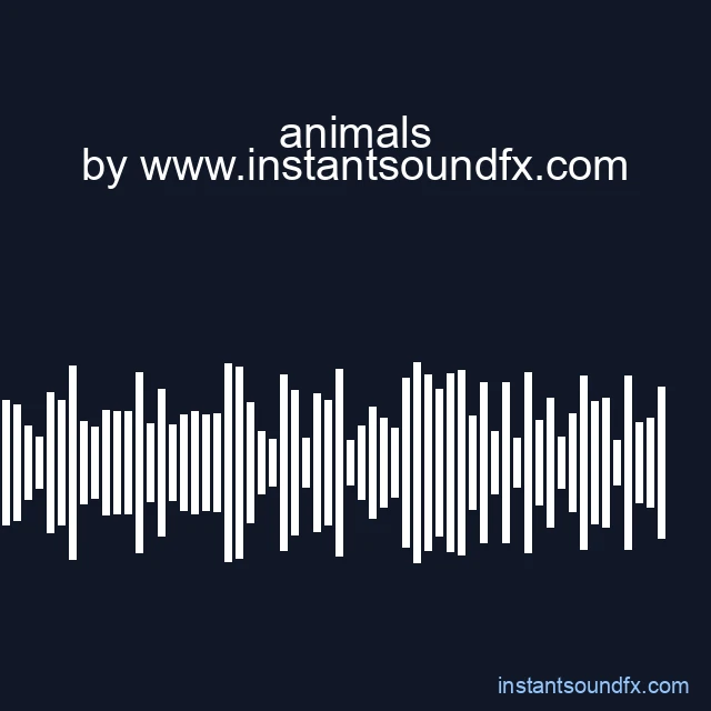 animals image