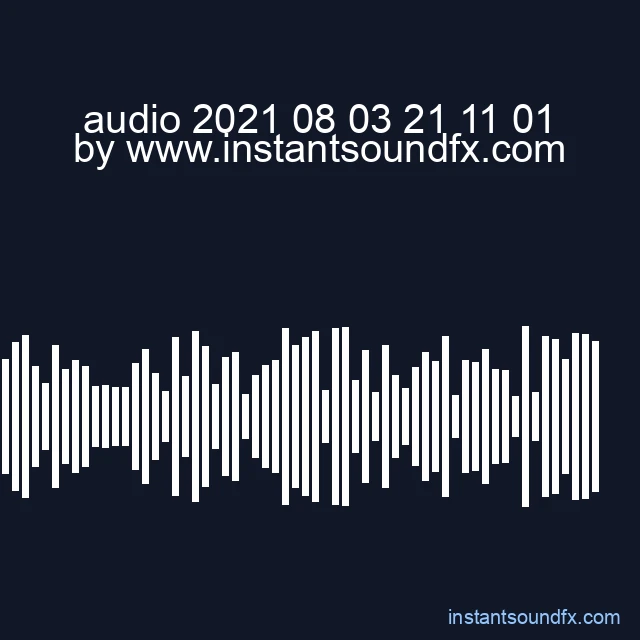 audio 2021 08 03 21 11 01 image