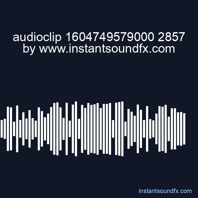 audioclip 1604749579000 2857 image