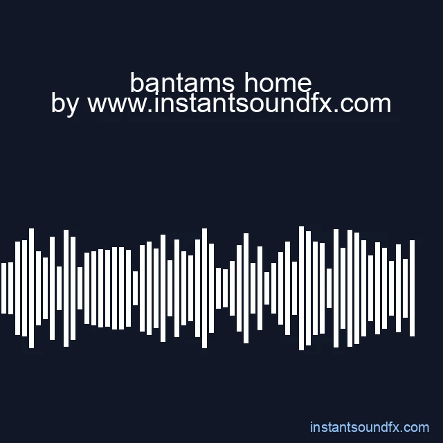 bantams home image