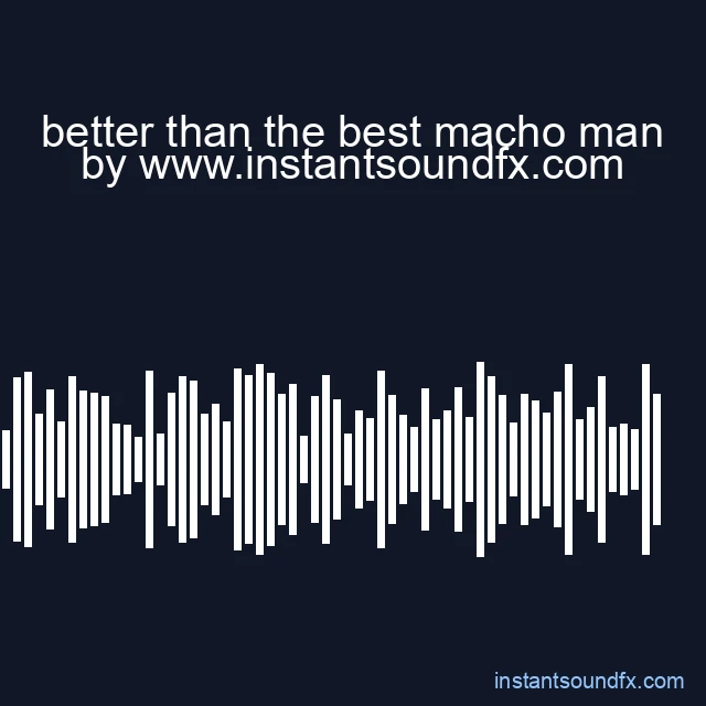 better than the best macho man image