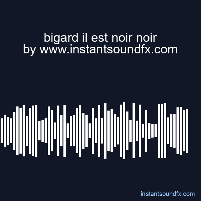 bigard il est noir noir image