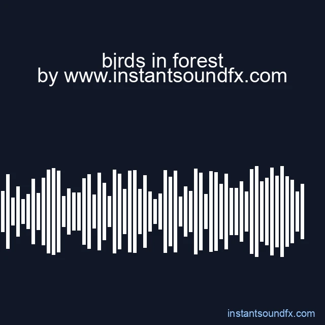 birds in forest image