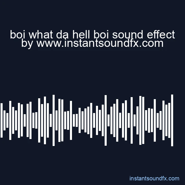 boi what da hell boi sound effect image