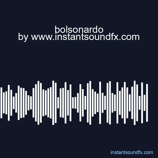 bolsonardo image
