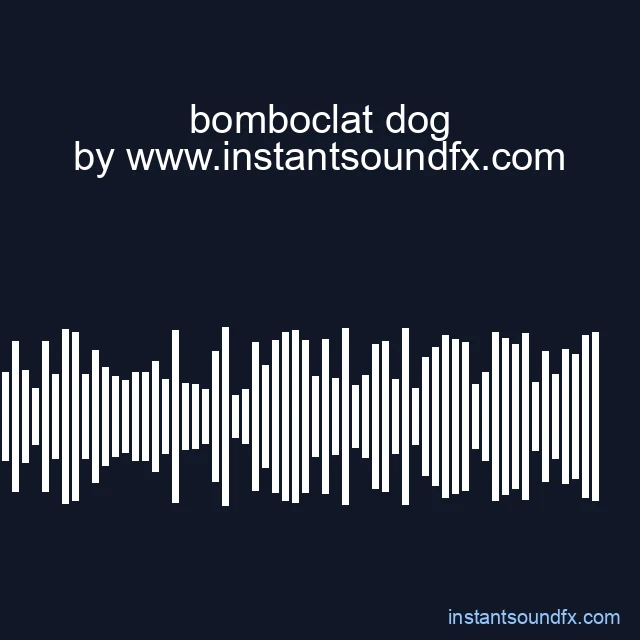 bomboclat dog image