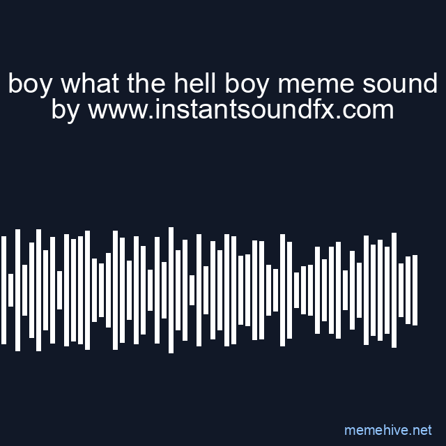 boy what the hell boy meme sound image