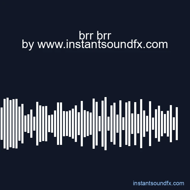 brr brr image