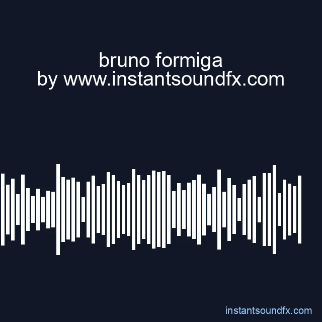 bruno formiga image