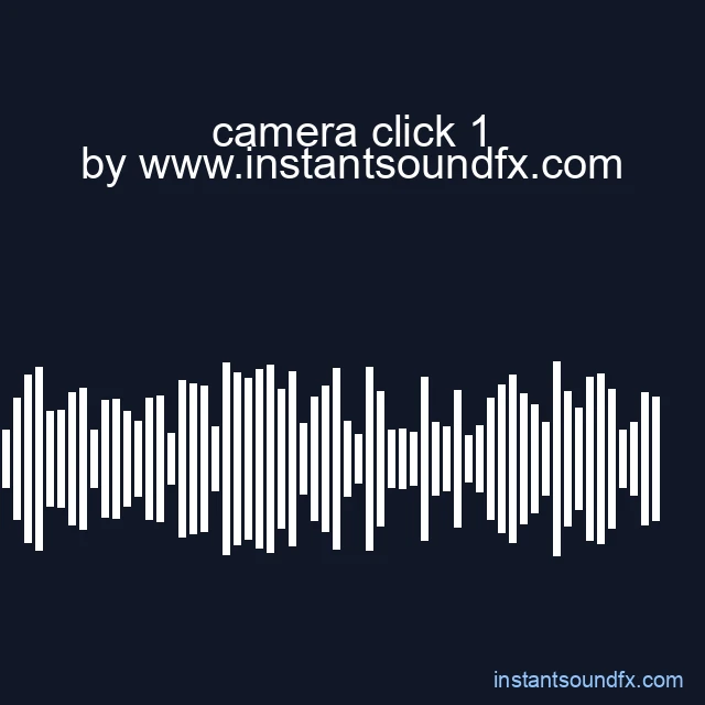 camera click 1 image
