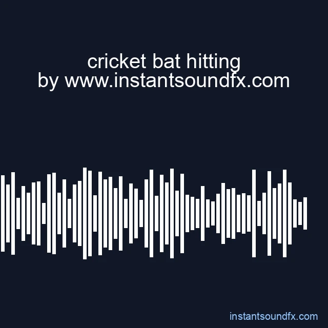 cricket bat hitting image