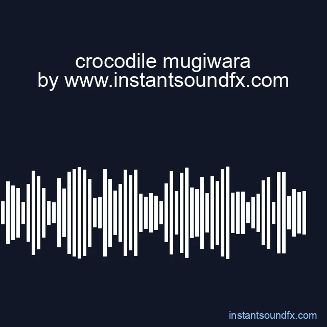 crocodile mugiwara image