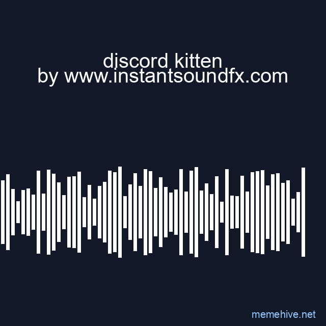 discord kitten image