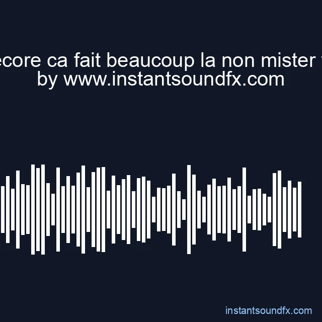 ecore ca fait beaucoup la non mister v image