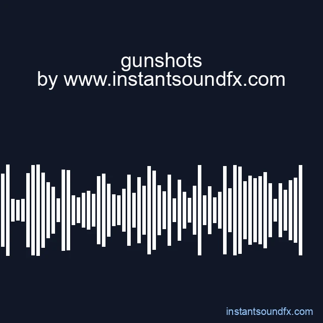 gunshots image