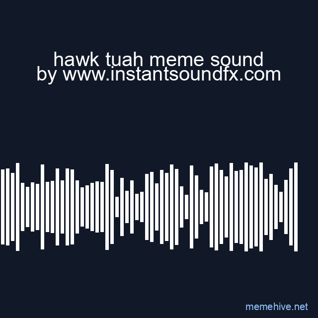 hawk tuah meme sound image