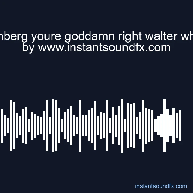 heisenberg youre goddamn right walter white sa image