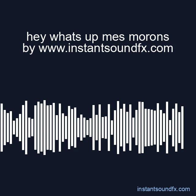 hey whats up mes morons image