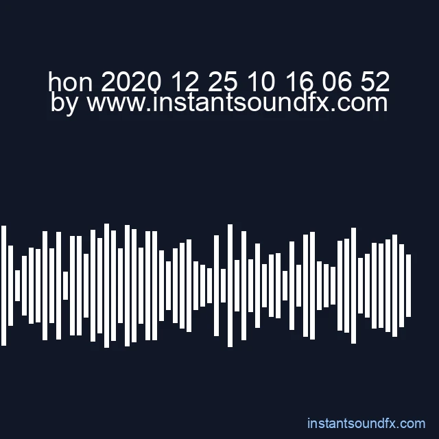 hon 2020 12 25 10 16 06 52 image