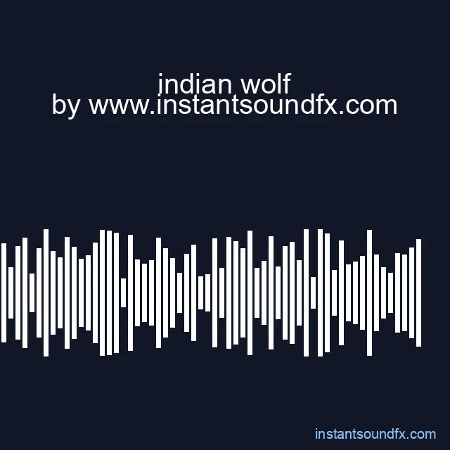 indian wolf image