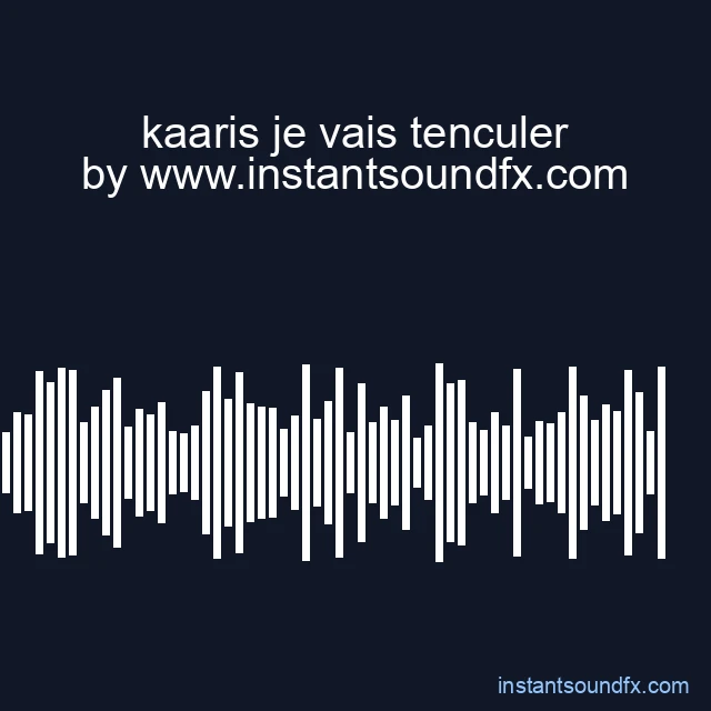 kaaris je vais tenculer image