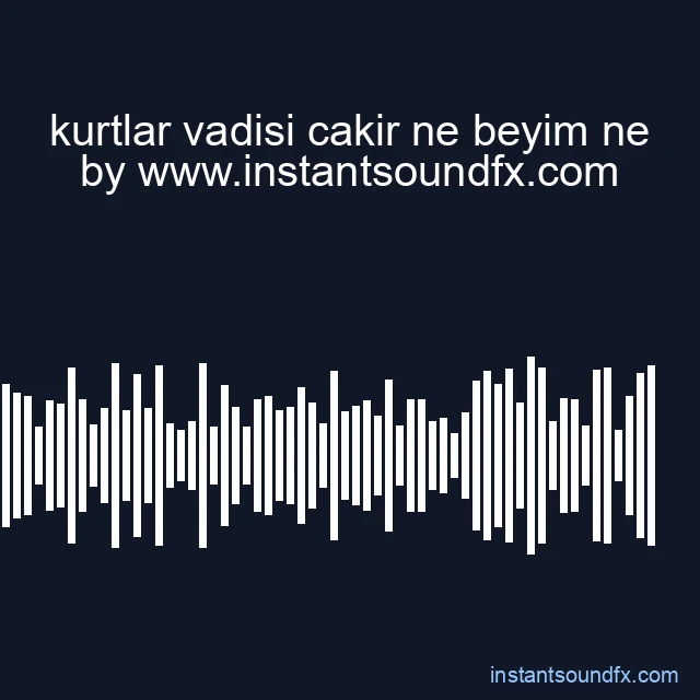 kurtlar vadisi cakir ne beyim ne image