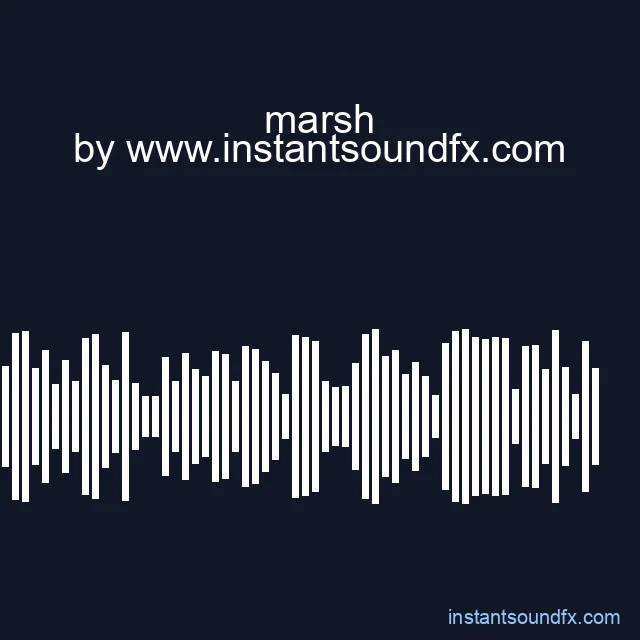 marsh image