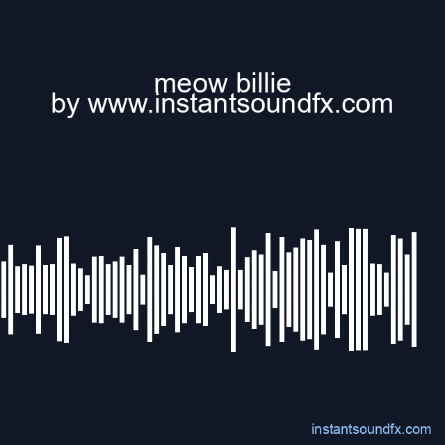 meow billie image