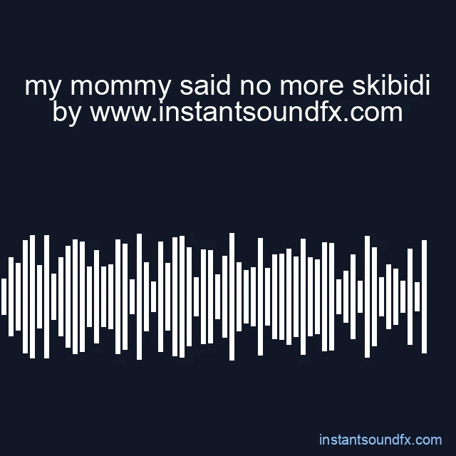 my mommy said no more skibidi image