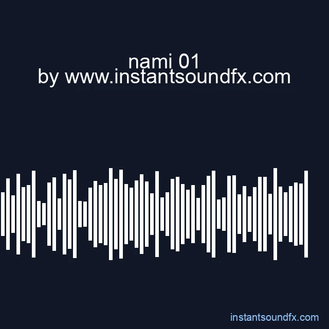 nami 01 image