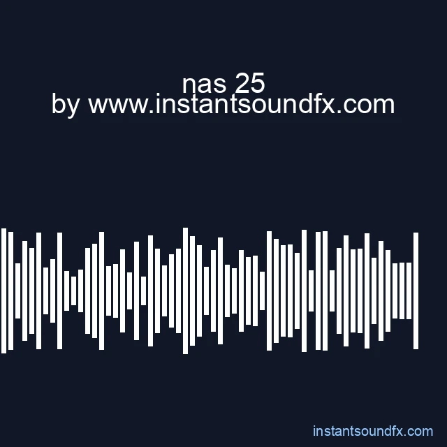 nas 25 image