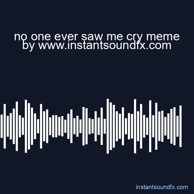 no one ever saw me cry meme image