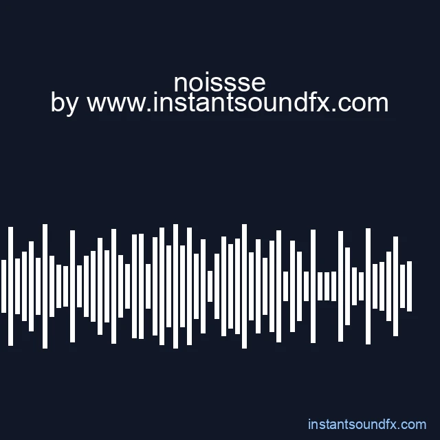 noissse image
