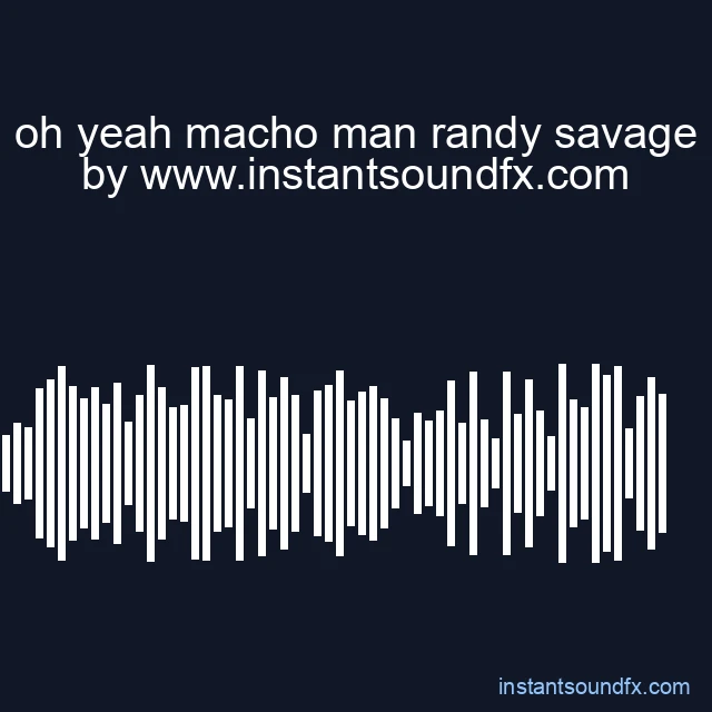 oh yeah macho man randy savage image