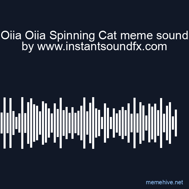 Oiia Oiia Spinning Cat meme sound image