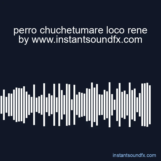 perro chuchetumare loco rene image