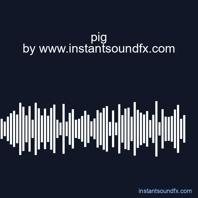 pig image