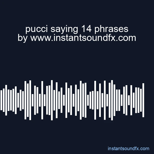 pucci saying 14 phrases image