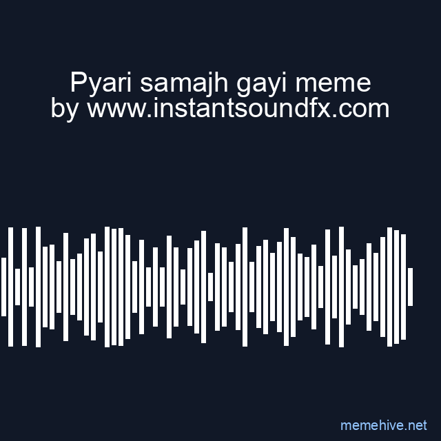 Pyari samajh gayi meme image