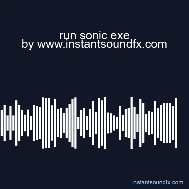 run sonic exe image