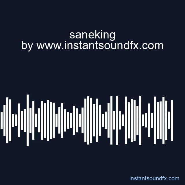 saneking image
