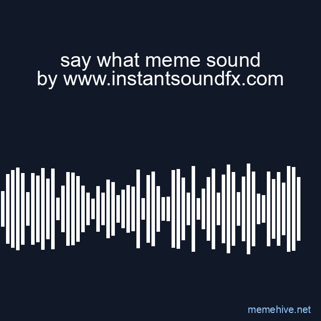 say what meme sound image