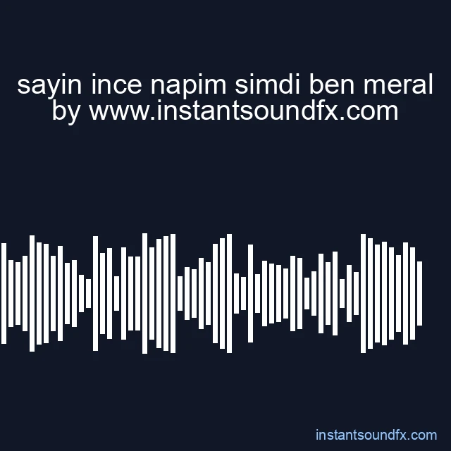 sayin ince napim simdi ben meral image
