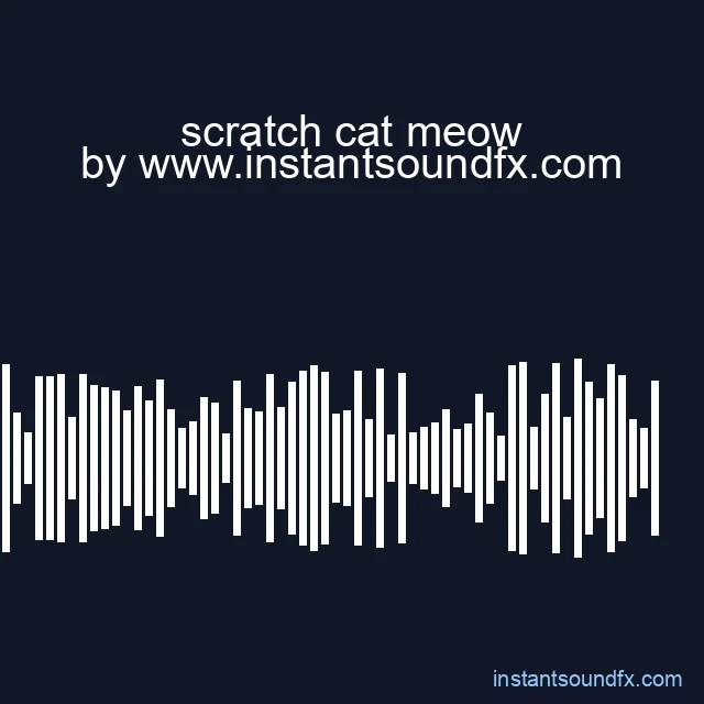 scratch cat meow image