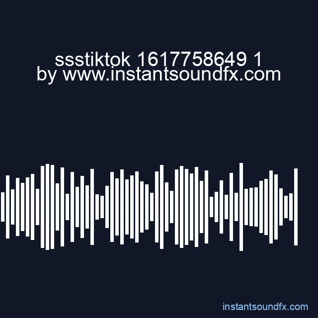 ssstiktok 1617758649 1 image