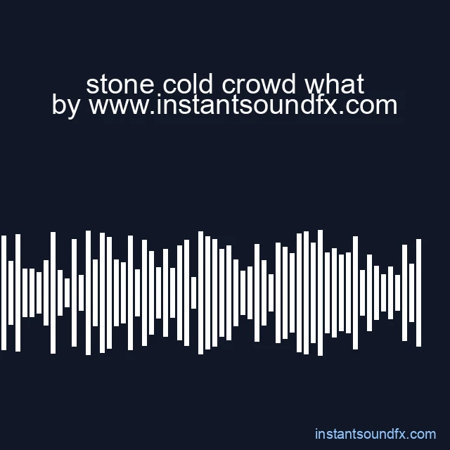 stone cold crowd what image