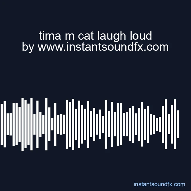 tima m cat laugh loud image