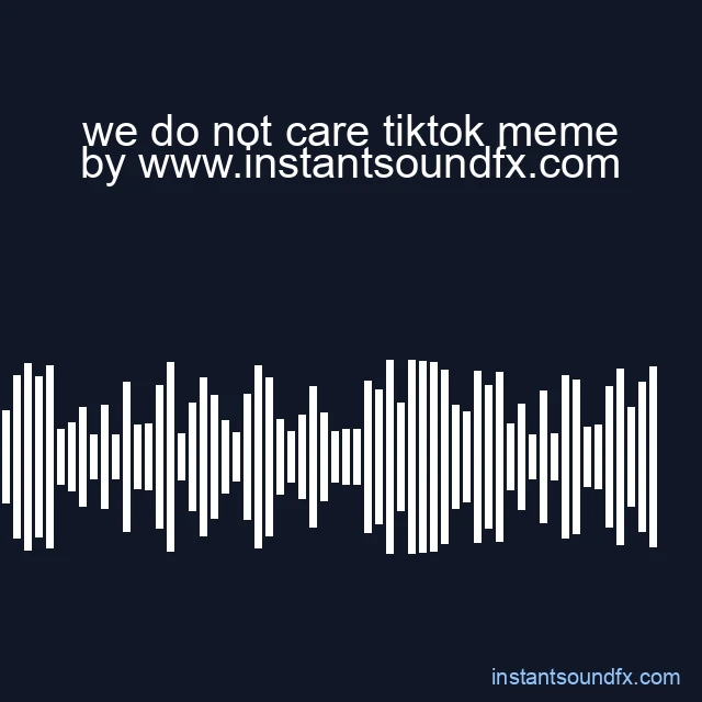 we do not care tiktok meme image